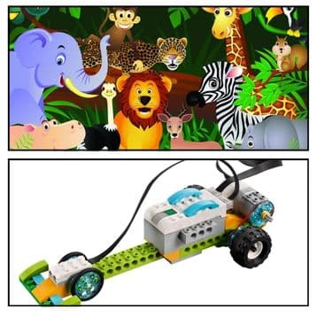 Princeton Summer Camp 2026: Animal Safari / Nanobots